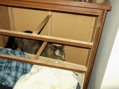 A VERY SERIOUS CRIME MAY HAVE BEEN COMMITED... Emerald in the dresser cabinet