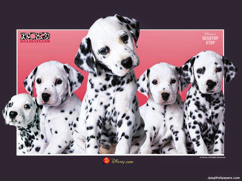 Best Cartoon 4 U 101 Dalmatians Pictures