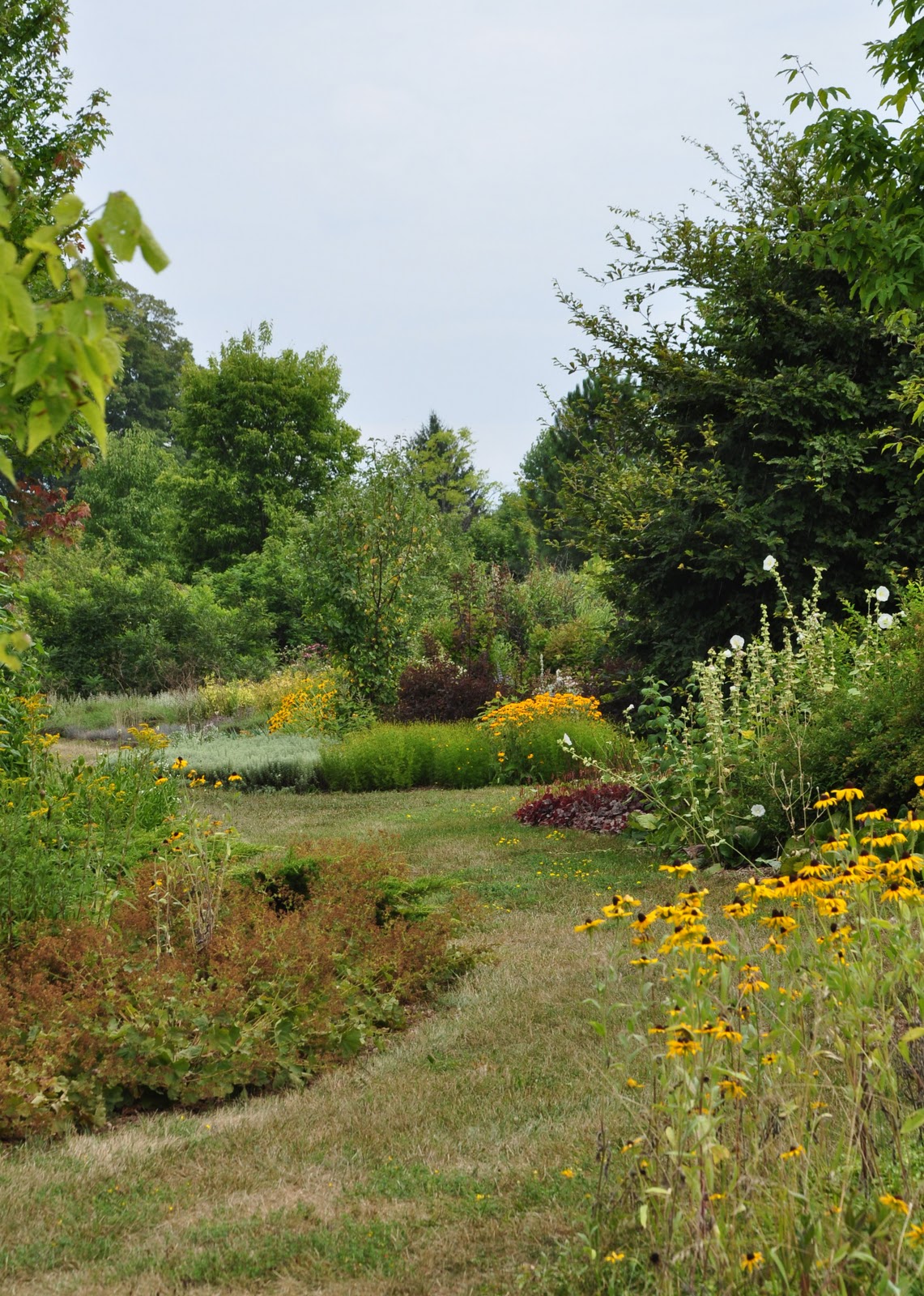 Grass Path