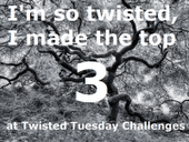 Top 3 Twisted Tuesday