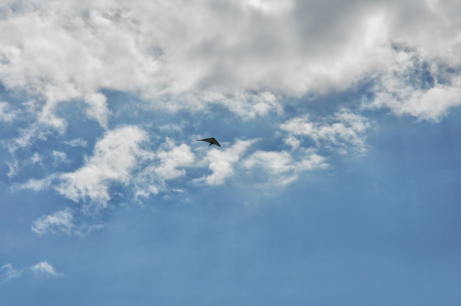 The Curious Zephyr A Bird's Eye View of New Hampshire
