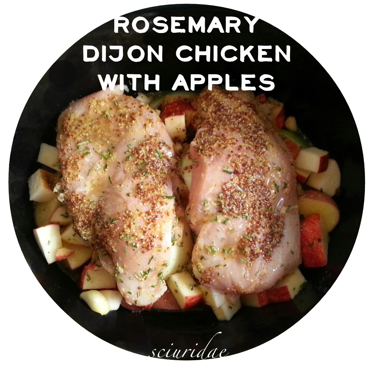 Sciuridae Rosemary Dijon Chicken with Apples (Primal/Paleo)