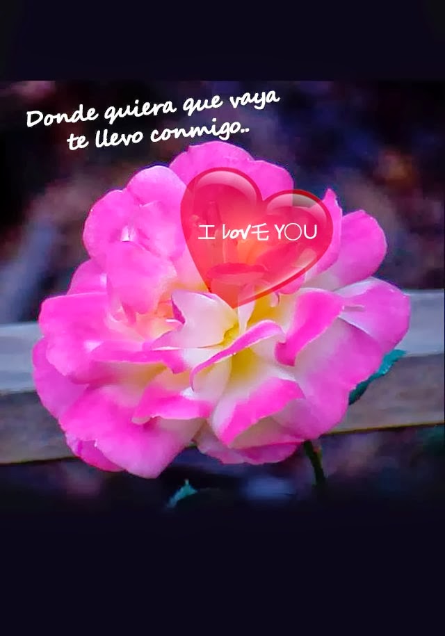imagenes con frases de amor