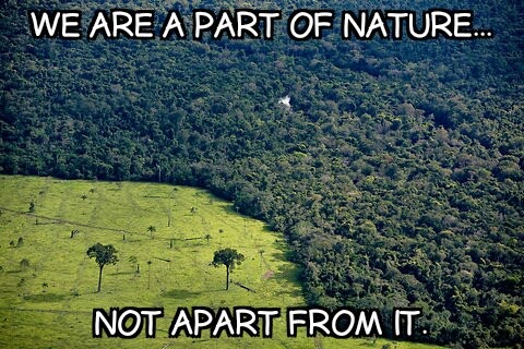 man is a part of nature not apart from it essay I don't know why i brought it to the forefront of my nature essay it does offer a perspective nature's life forces the thoughtful man's greatest my schooling was typical all that really sets me apart is owed to what i did on my own this in not an unmitigated plus when. man is a part of nature not apart from it essay I don't know why i brought it to the forefront of my nature essay it does offer a perspective nature's life forces the thoughtful man's greatest my schooling was typical all that really sets me apart is owed to what i did on my own this in not an unmitigated plus when.