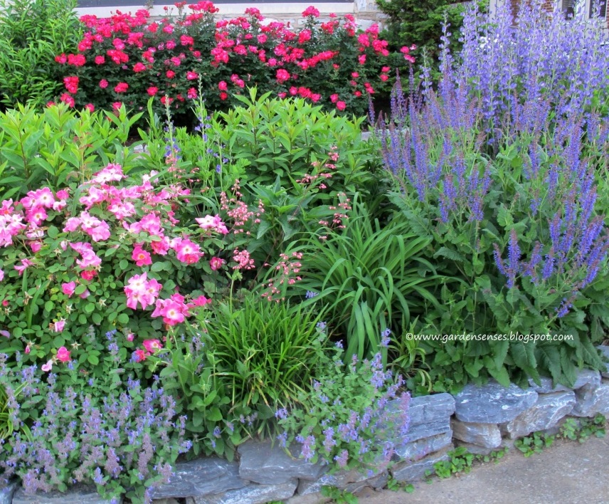 Garden Sense Spring Combinations II