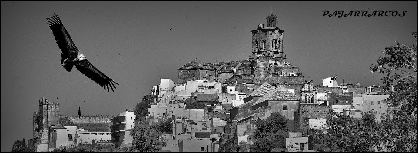 Pajarrarcos