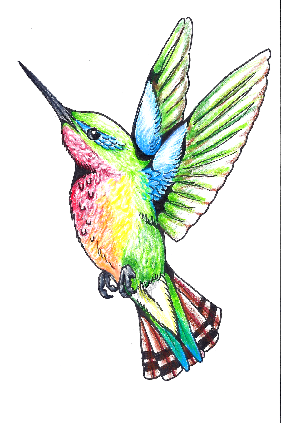Tattoos Of Humming Bird: Hummingbird Tattoo Designs Free