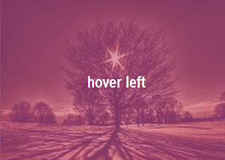 apply hover effects on images