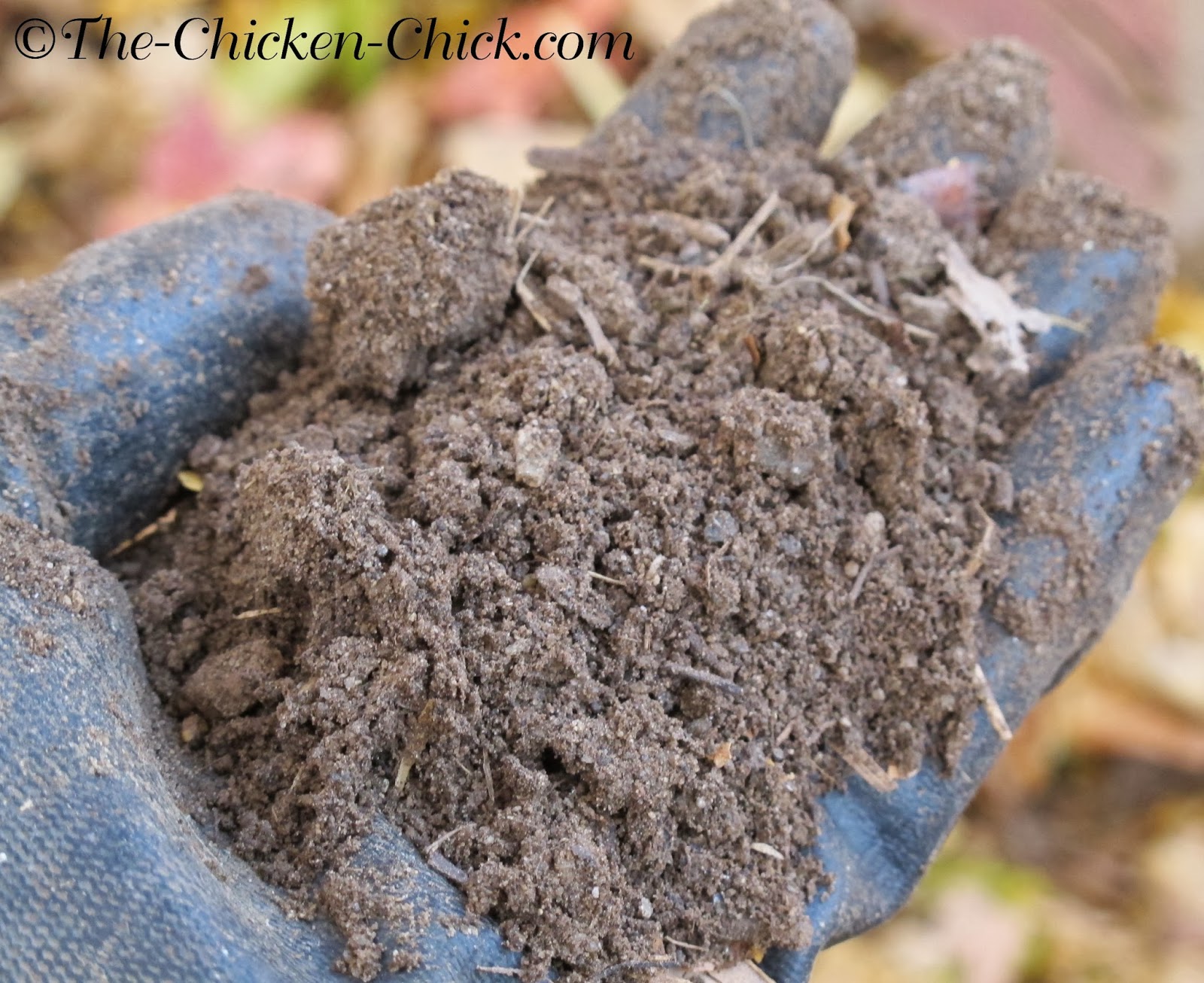 The Deep Litter Method of Waste Management in Chicken Coops The