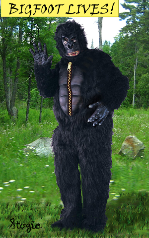 Photograph of Big Foot:  REAL OR FAKED?  You Decide!