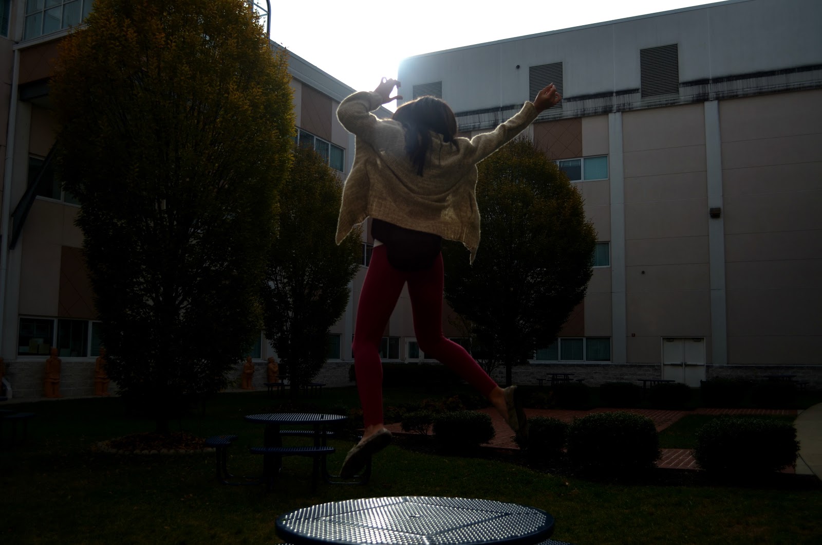 Molly's Photography Backlighting Photography