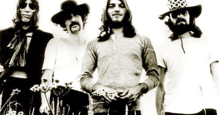 The wonderful life of being a Pink Floyd fan: Several species of small