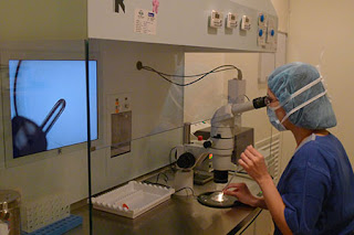 Ivf dengan dr. m devindran