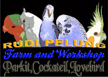 PENJUALAN PARKIT DAN LOVEBIRD