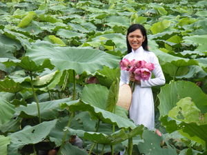 The lotus lake in Hanoi