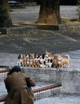 FOTO DE FAMILIA