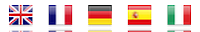 Translate Flag