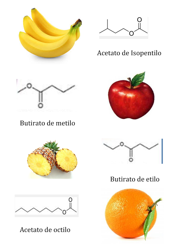 Resultado de imagen de aplicación de los ésteres
