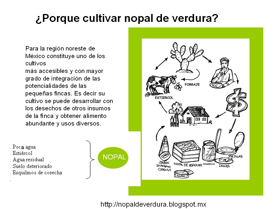 http://nopaldeverdura.blogspot.mx