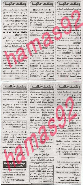 16 وظائف اهرام الجمعة اليوم 23 8 2013 ahram