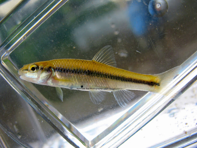 [Image: IMG_2468_post.jpg]