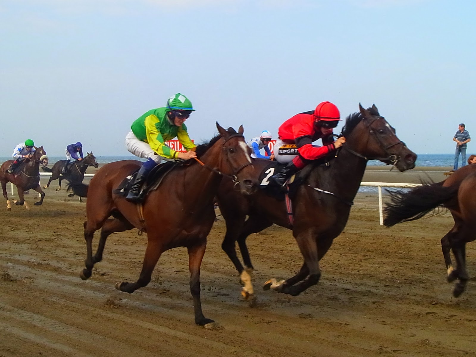 C Est Chouette アイルランドワーホリ14 競馬場めぐり１ ２６ Laytown その