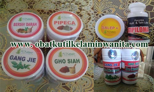 obat kutil kelamin tradisional paling mujarab