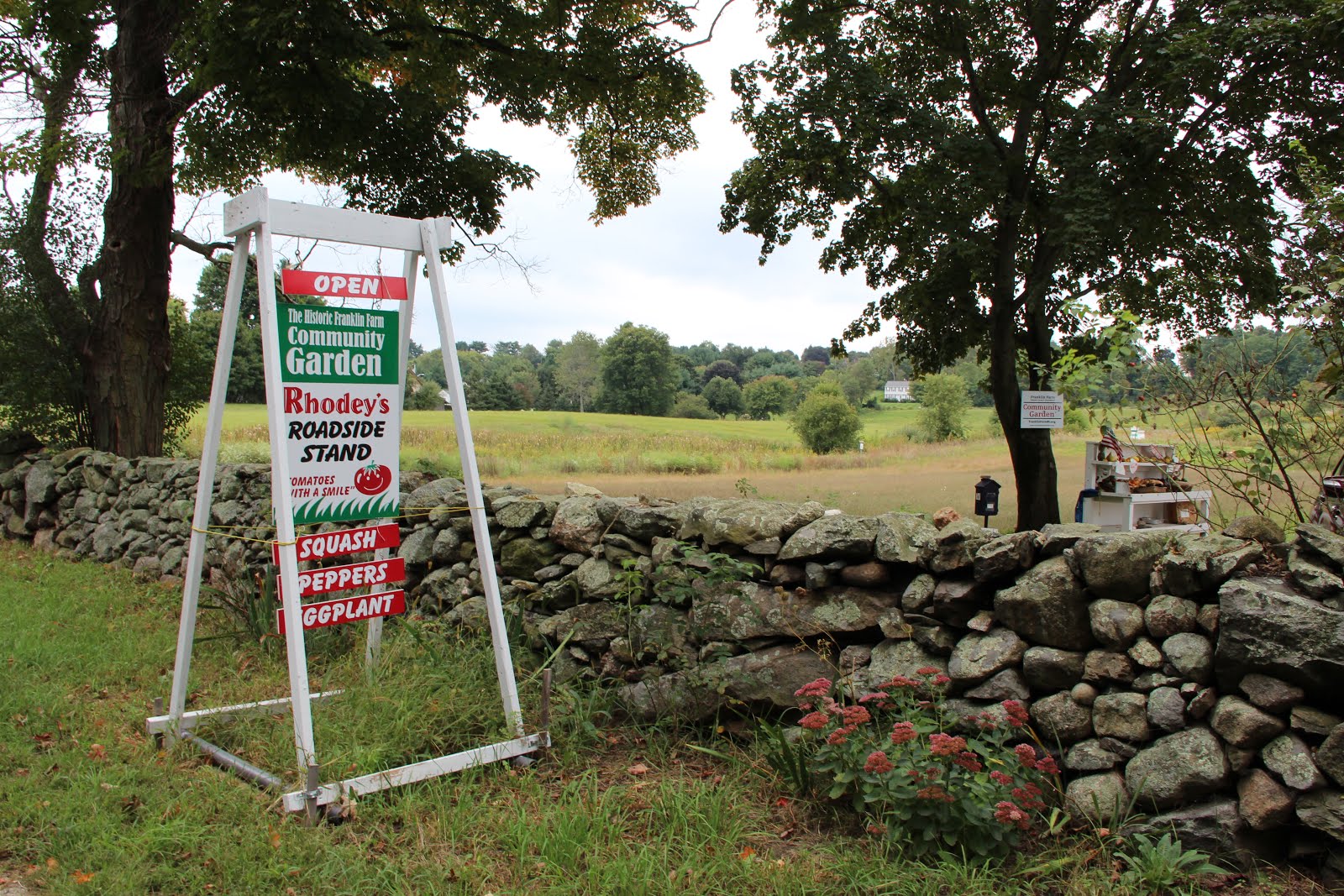 Local Organic Community Farm