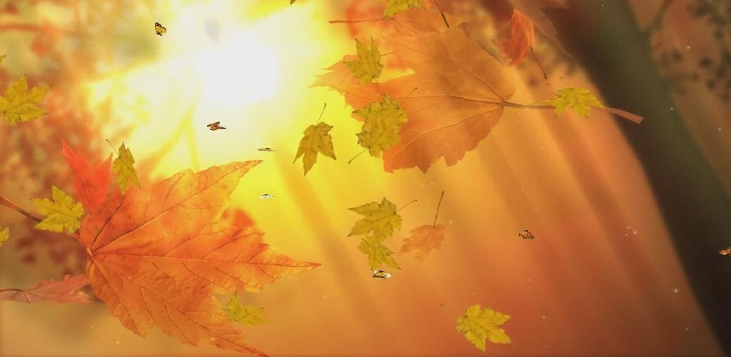 Android Apps: Falling Leaves Live Wallpaper