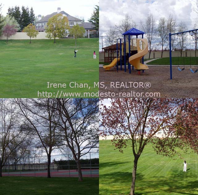 Irene Chan, MS, REALTOR Modesto CA Real Estate Agent Real Estate