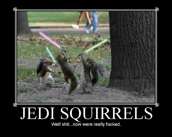 [Jedi+Squirrels.bmp]