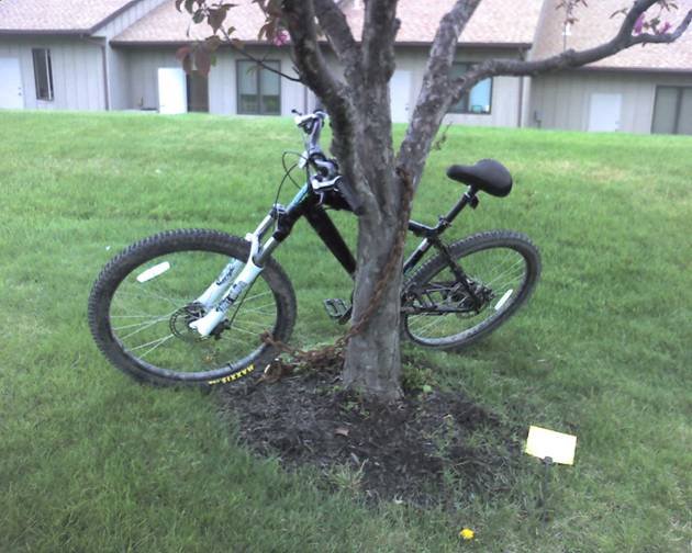 [Bike.bmp]