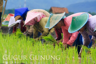 hukum dan masyarakat reformasi bidang pertanian yang berkeadilan sosial hukum dan masyarakat reformasi bidang pertanian yang berkeadilan sosial