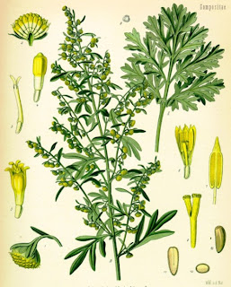 AJENJO