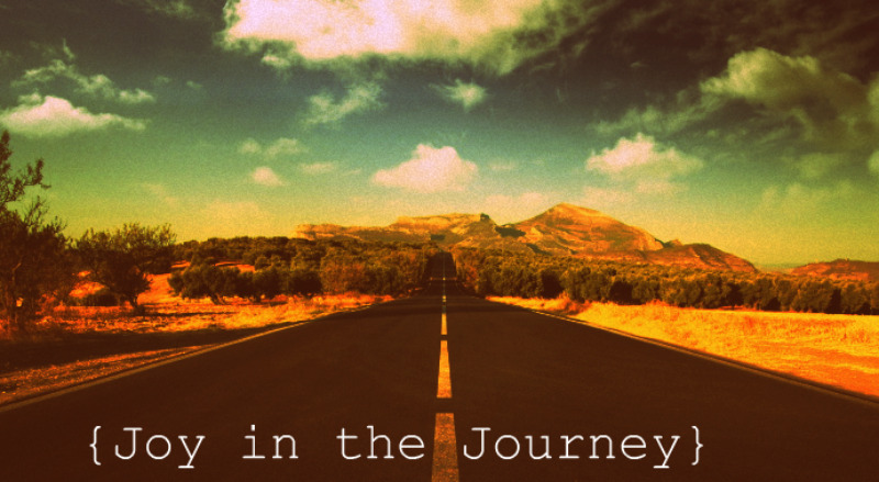 {joy in the journey}