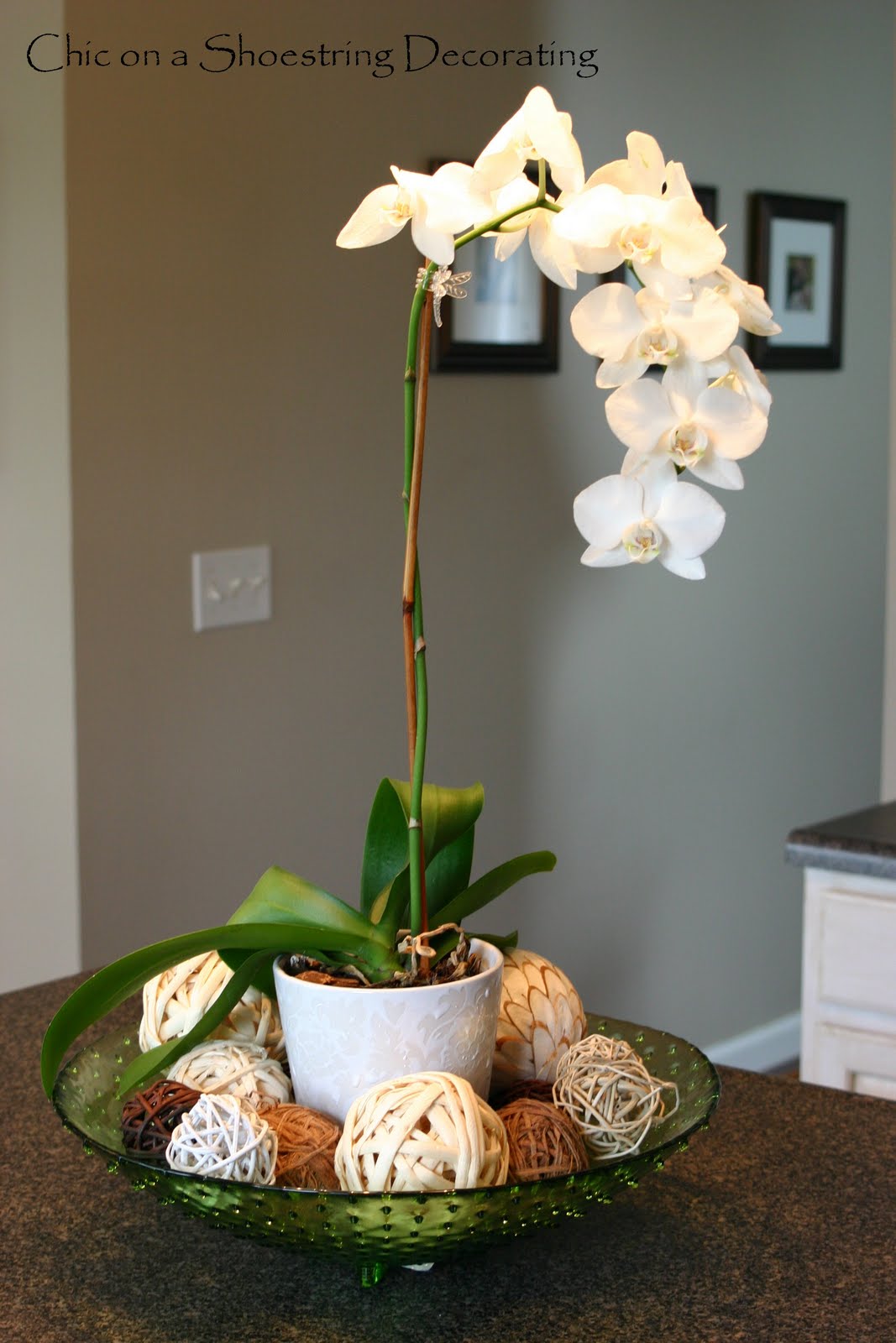 Chic on a Shoestring Decorating Orchid Love