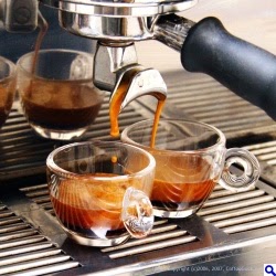Breville Cafe Roma Manuel Francais Breville Cafe Roma Manuel Francais