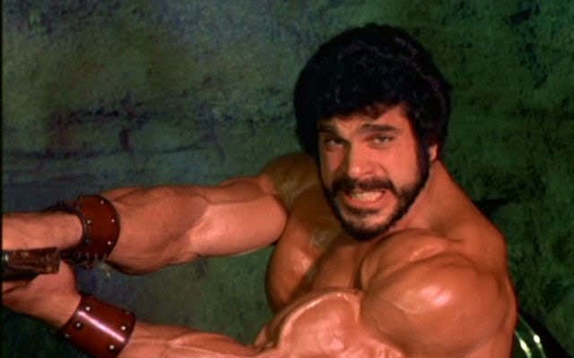 [lou+ferrigno29.jpg]