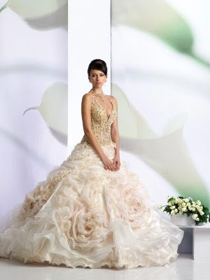 Maternity Dress on Wedding Dresses Picture Highly Popular Corset Wedding Dresses