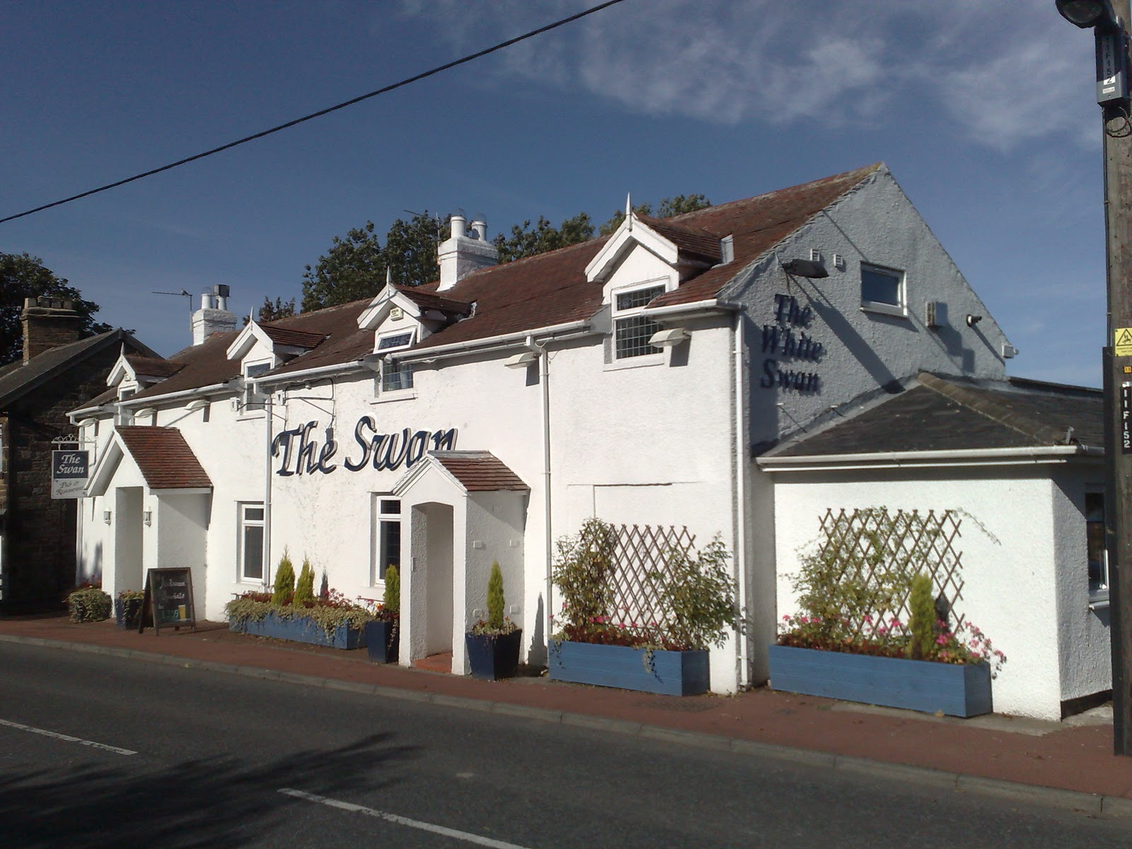 Real Ale Pub