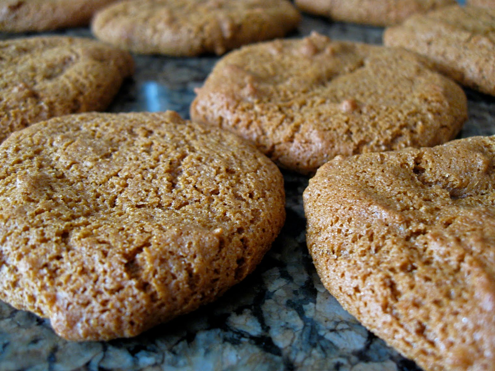 Spatula Sisters Canadian Molasses Cookies