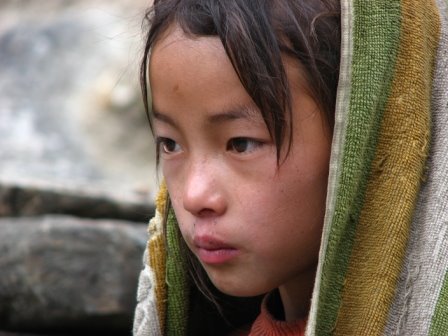 [IMG_8775.JPG]