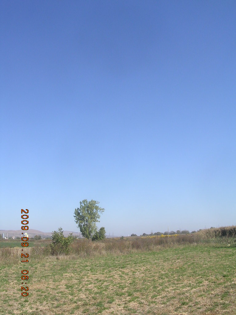 [DSCN5818.JPG]