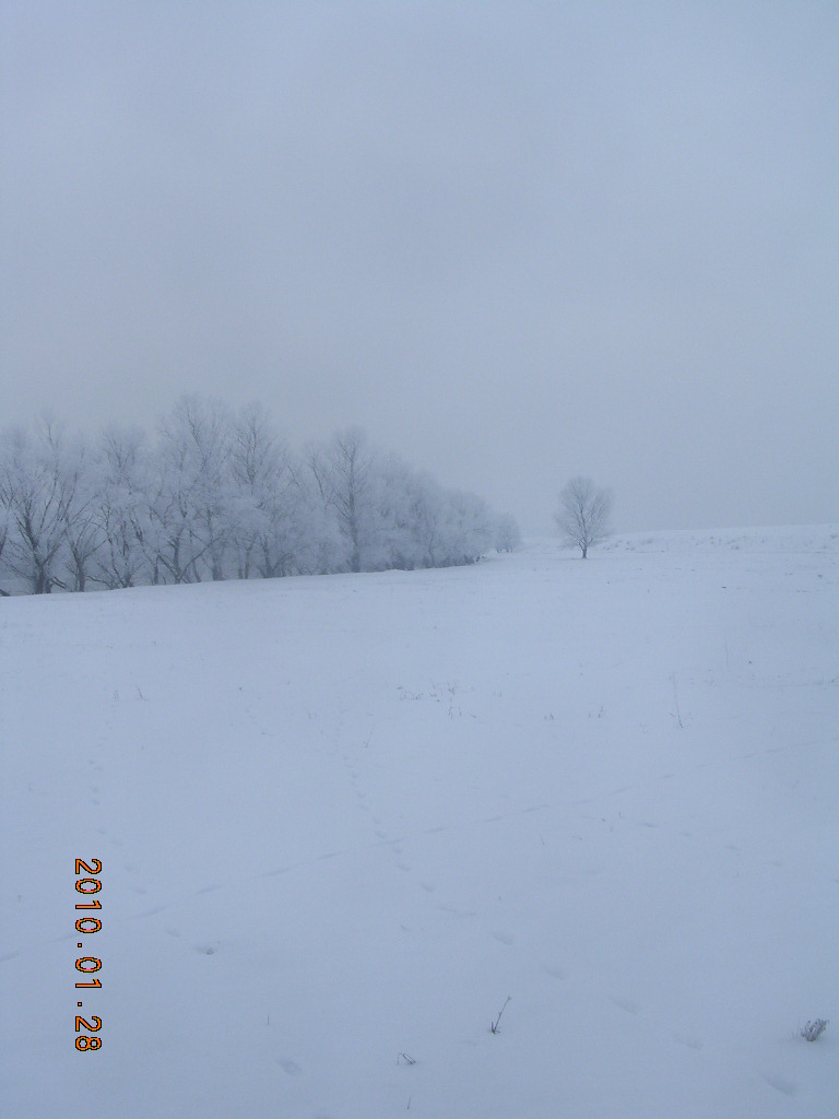 [DSCN7598.JPG]