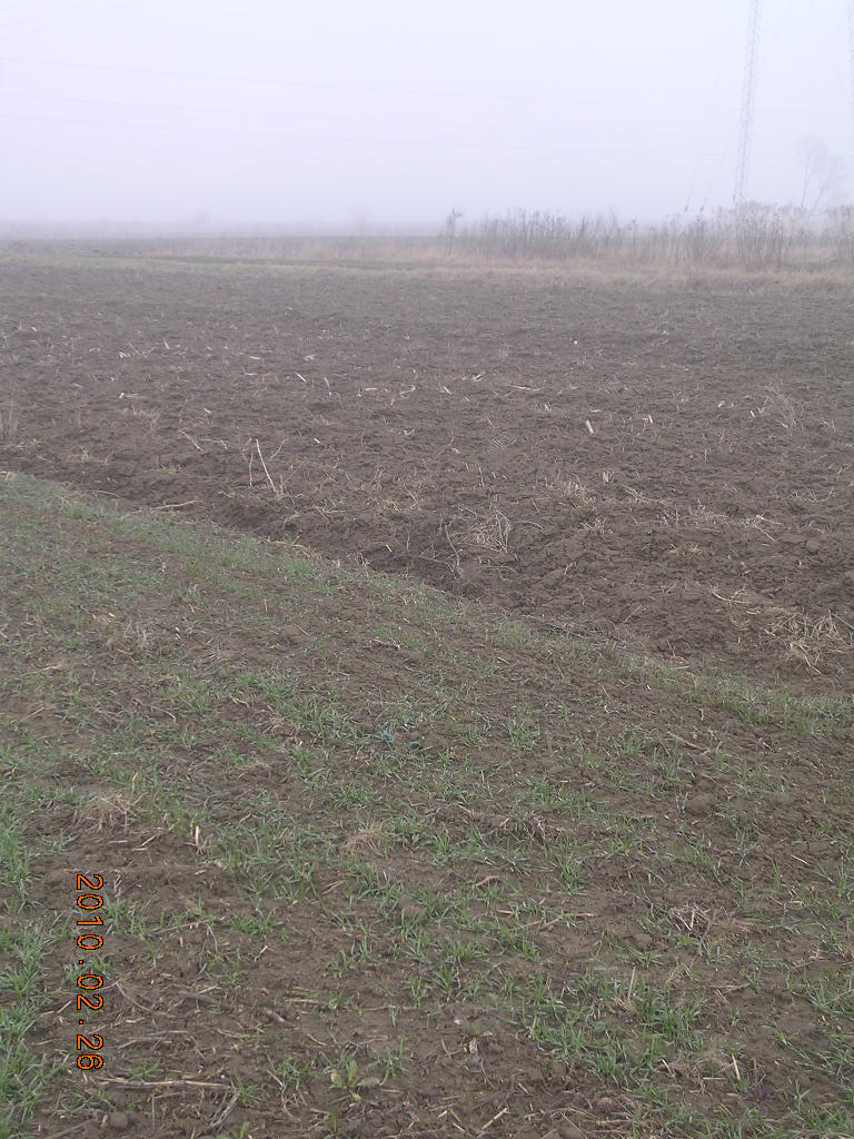 [DSCN7834.JPG]
