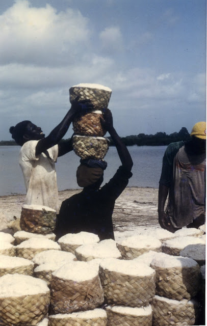 Les salins du Saloum