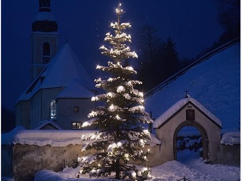 Christbaum weihnachtsfeier EC-Wart: Dezember 2010