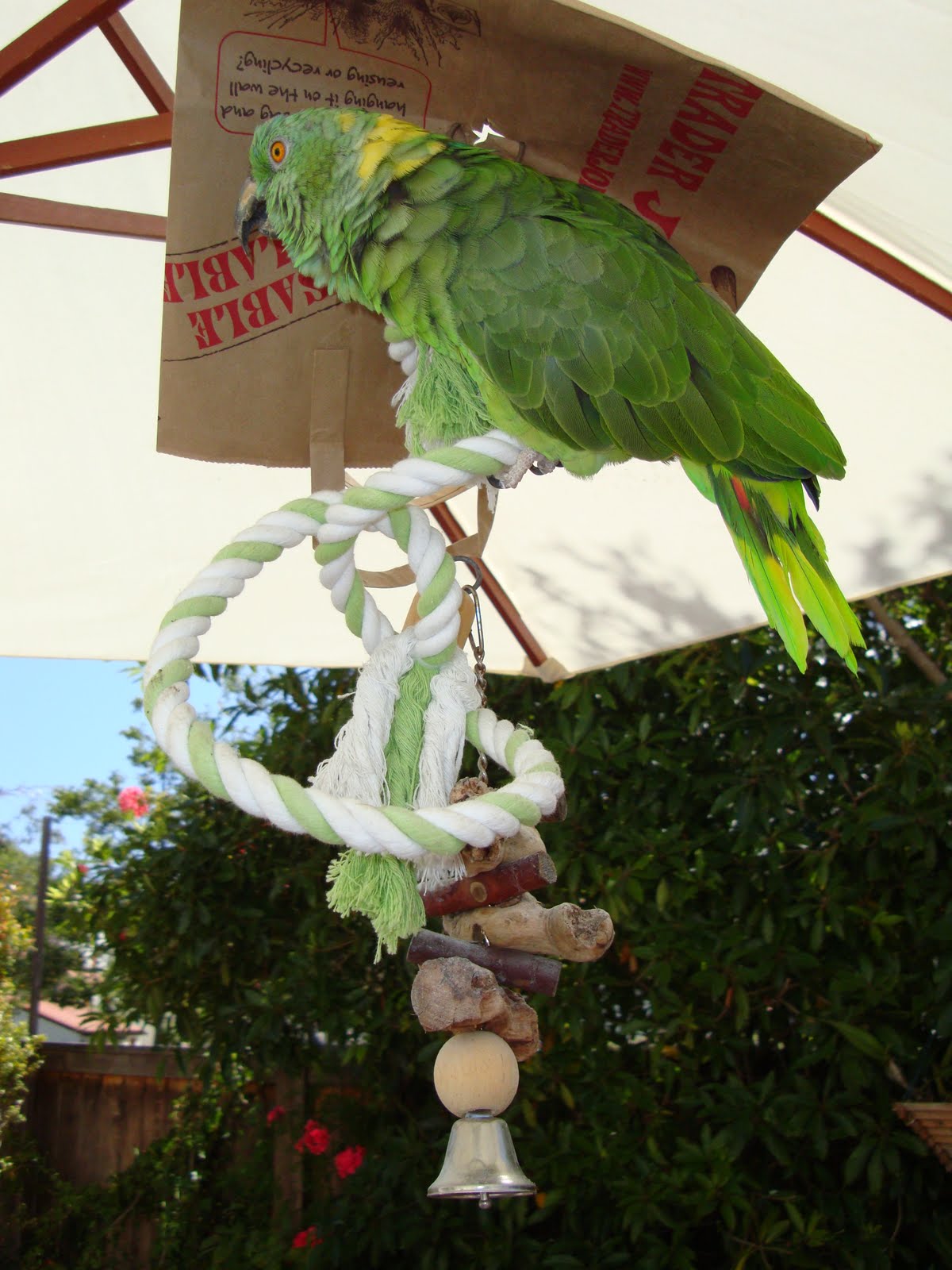 How to be Awesome, for Free Parrot Playground Solution