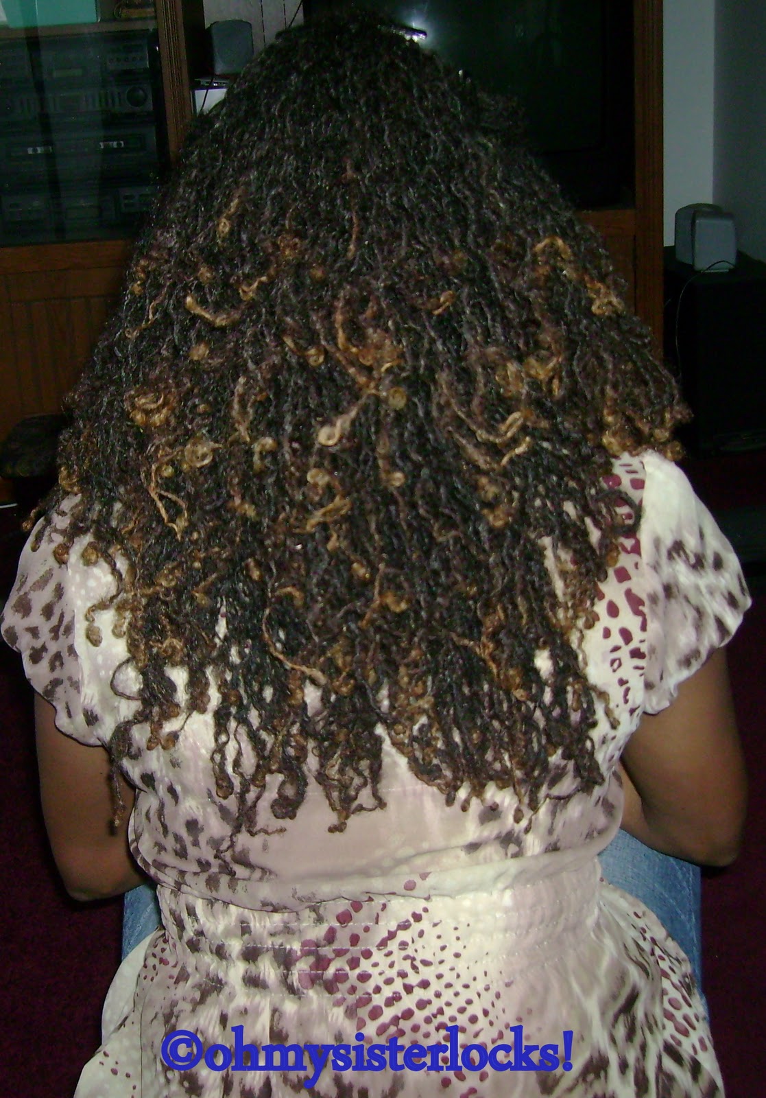 Oh My! Sisterlocks The Orlando Natural Hair Expo! HairStyle