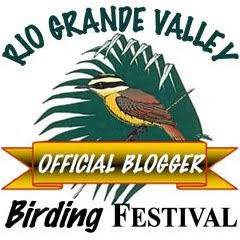 Rio Grande Valley Birding Festival Blogger Button